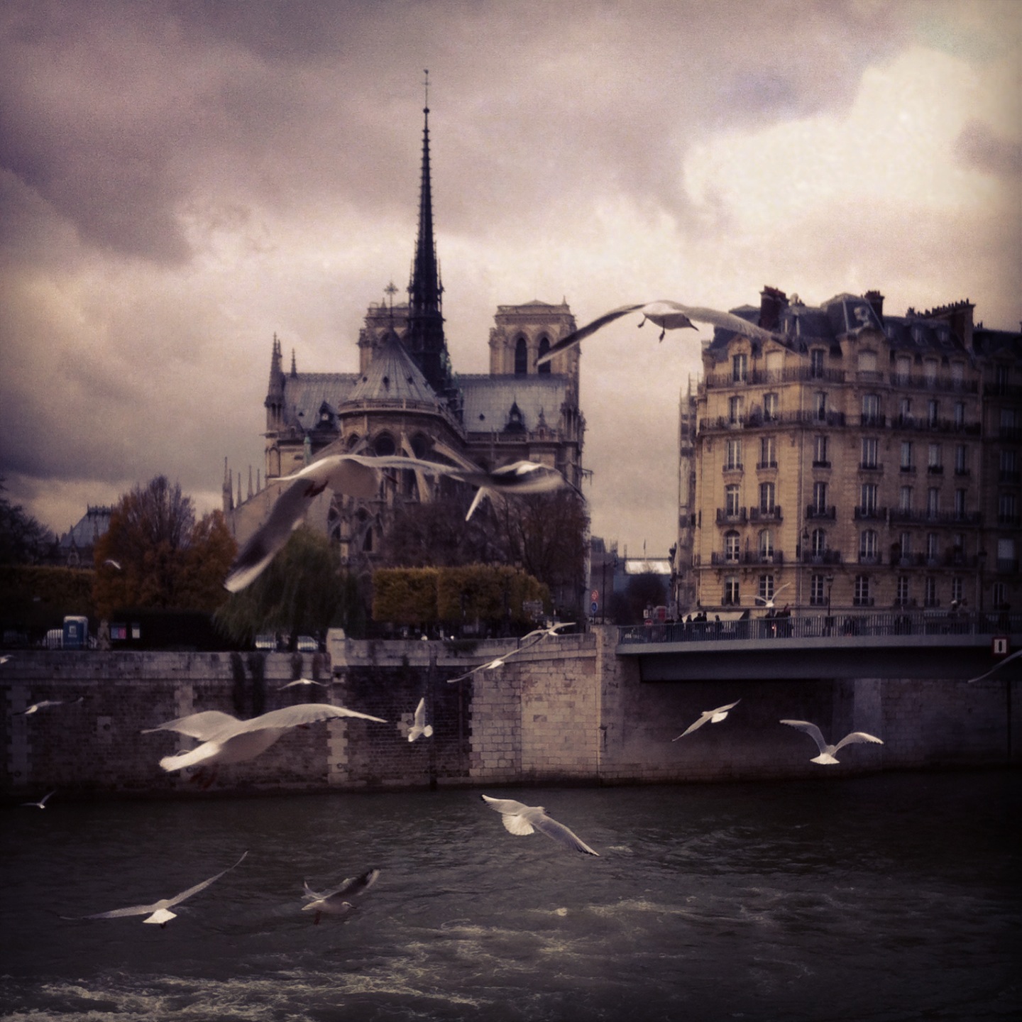A photo of “le cul de Notre Dame”